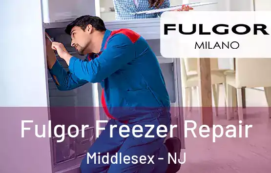  Fulgor Freezer Repair Middlesex - NJ