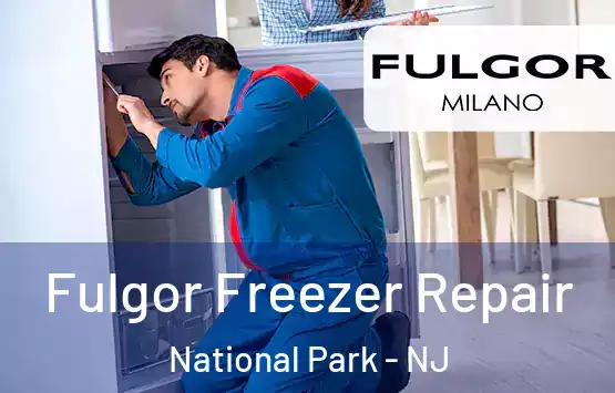  Fulgor Freezer Repair National Park - NJ