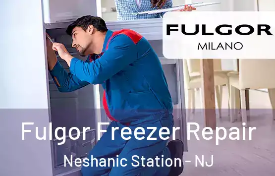  Fulgor Freezer Repair Neshanic Station - NJ