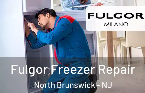  Fulgor Freezer Repair North Brunswick - NJ