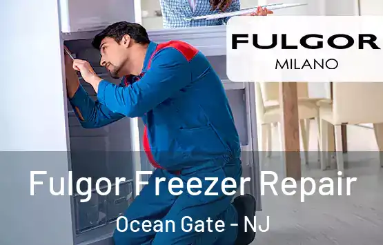  Fulgor Freezer Repair Ocean Gate - NJ