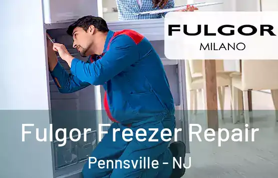  Fulgor Freezer Repair Pennsville - NJ