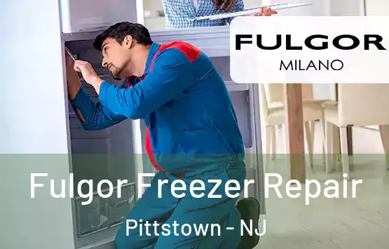  Fulgor Freezer Repair Pittstown - NJ