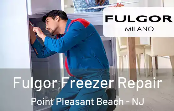  Fulgor Freezer Repair Point Pleasant Beach - NJ