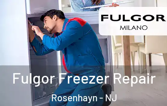  Fulgor Freezer Repair Rosenhayn - NJ