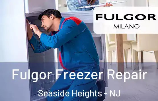  Fulgor Freezer Repair Seaside Heights - NJ
