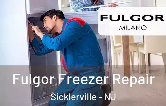  Fulgor Freezer Repair Sicklerville - NJ