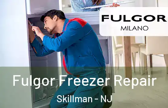  Fulgor Freezer Repair Skillman - NJ