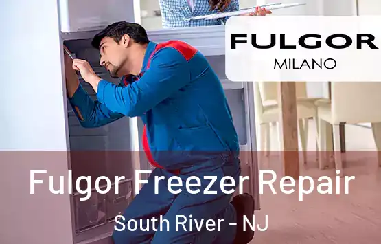  Fulgor Freezer Repair South River - NJ