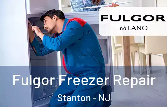  Fulgor Freezer Repair Stanton - NJ
