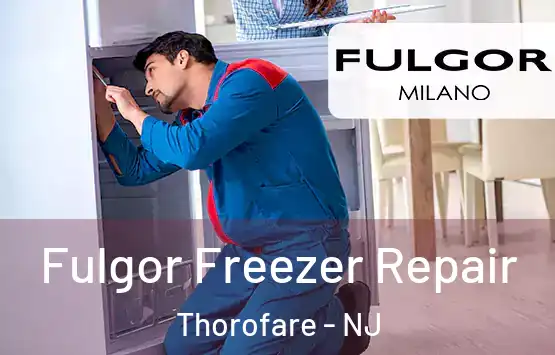  Fulgor Freezer Repair Thorofare - NJ