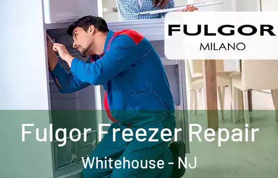  Fulgor Freezer Repair Whitehouse - NJ