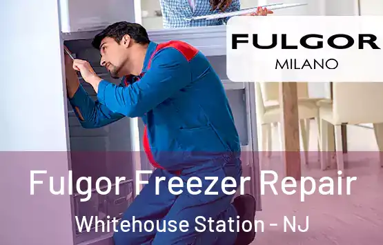  Fulgor Freezer Repair Whitehouse Station - NJ