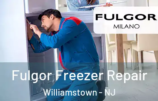  Fulgor Freezer Repair Williamstown - NJ