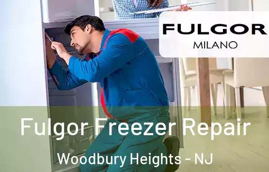  Fulgor Freezer Repair Woodbury Heights - NJ