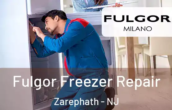 Fulgor Freezer Repair Zarephath - NJ