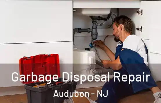  Garbage Disposal Repair Audubon - NJ