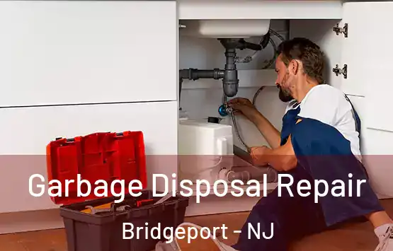  Garbage Disposal Repair Bridgeport - NJ