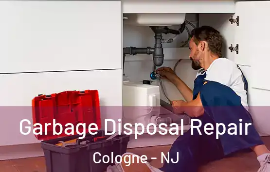  Garbage Disposal Repair Cologne - NJ