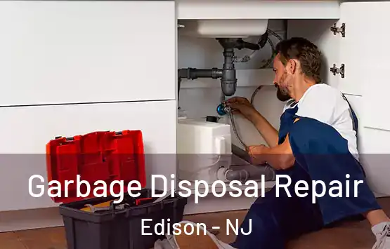  Garbage Disposal Repair Edison - NJ