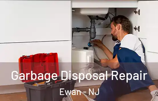  Garbage Disposal Repair Ewan - NJ