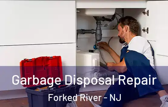  Garbage Disposal Repair Forked River - NJ