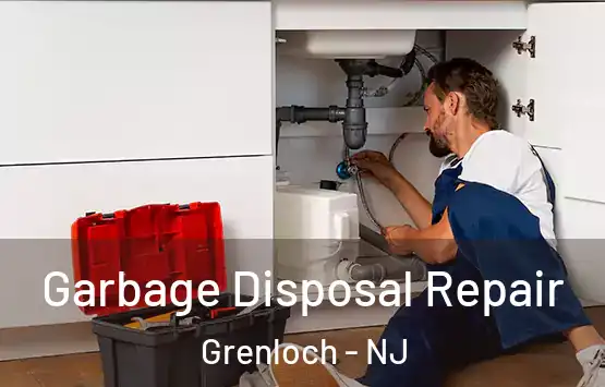  Garbage Disposal Repair Grenloch - NJ