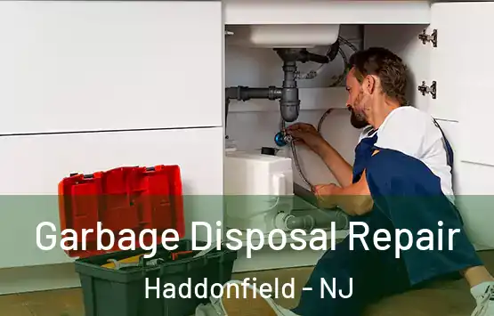  Garbage Disposal Repair Haddonfield - NJ