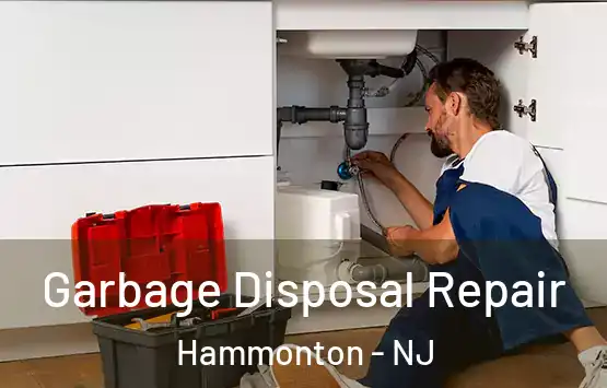  Garbage Disposal Repair Hammonton - NJ