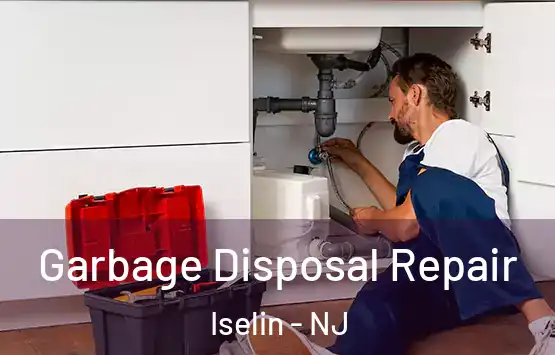  Garbage Disposal Repair Iselin - NJ