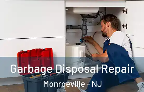 Garbage Disposal Repair Monroeville - NJ