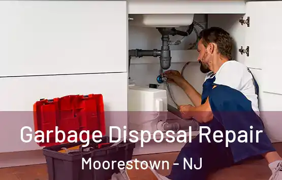  Garbage Disposal Repair Moorestown - NJ