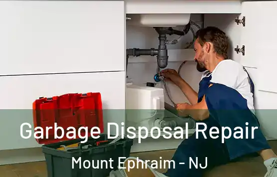  Garbage Disposal Repair Mount Ephraim - NJ