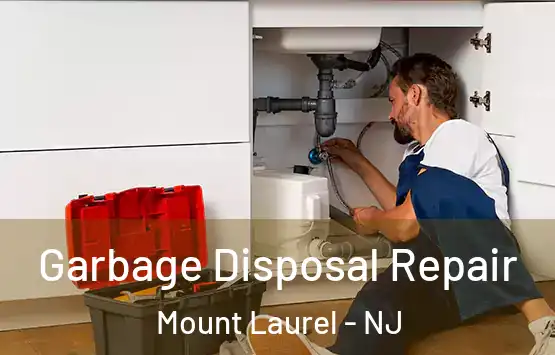  Garbage Disposal Repair Mount Laurel - NJ