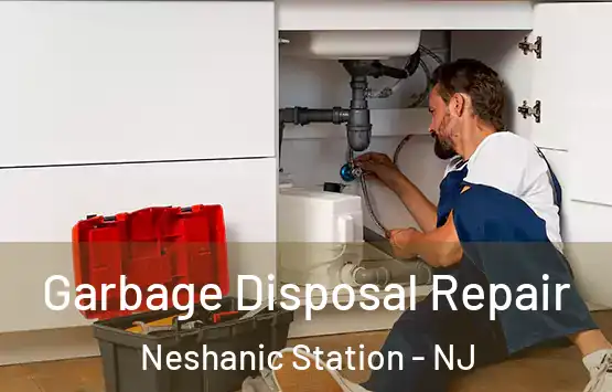  Garbage Disposal Repair Neshanic Station - NJ