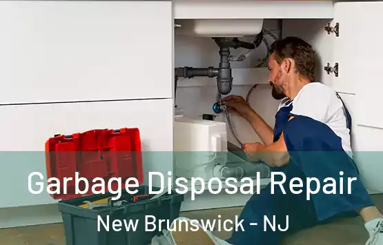 Garbage Disposal Repair New Brunswick - NJ