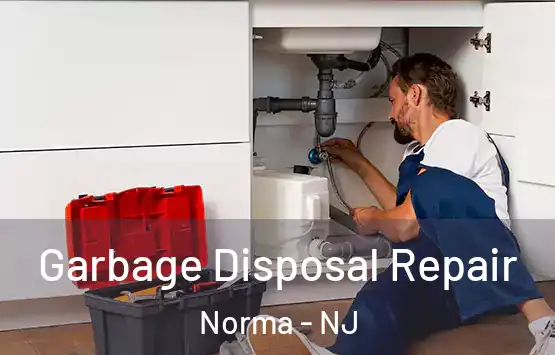  Garbage Disposal Repair Norma - NJ