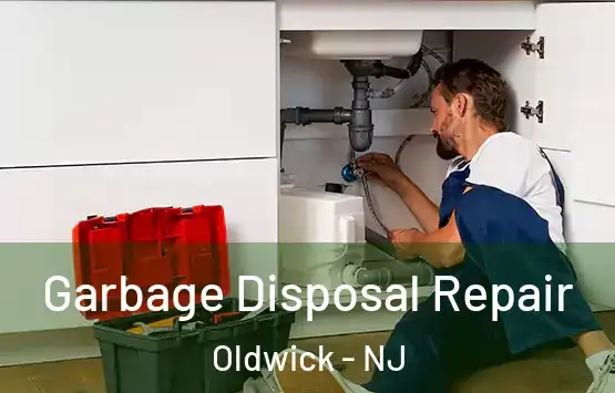  Garbage Disposal Repair Oldwick - NJ