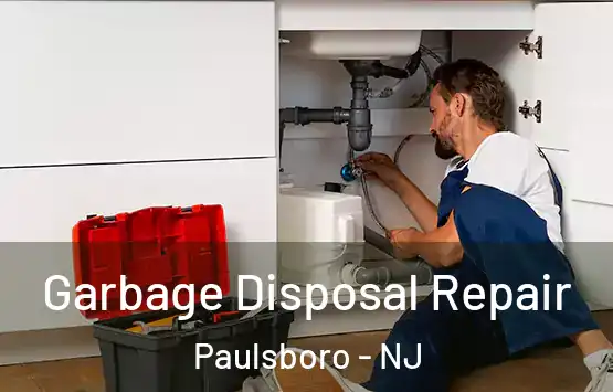 Garbage Disposal Repair Paulsboro - NJ
