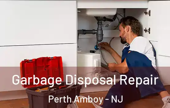 Garbage Disposal Repair Perth Amboy - NJ