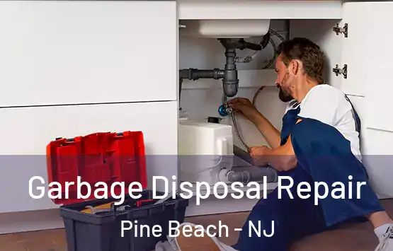  Garbage Disposal Repair Pine Beach - NJ