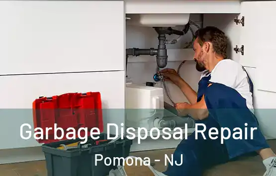  Garbage Disposal Repair Pomona - NJ