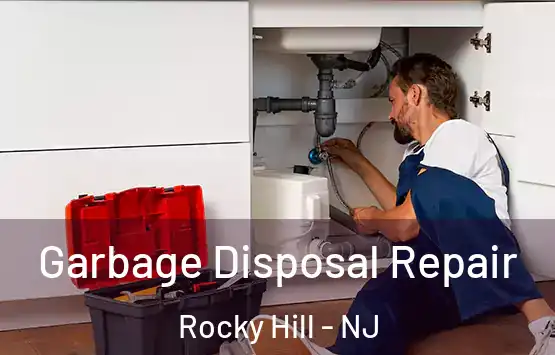 Garbage Disposal Repair Rocky Hill - NJ