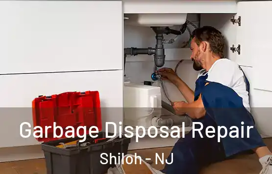  Garbage Disposal Repair Shiloh - NJ
