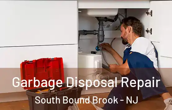  Garbage Disposal Repair South Bound Brook - NJ