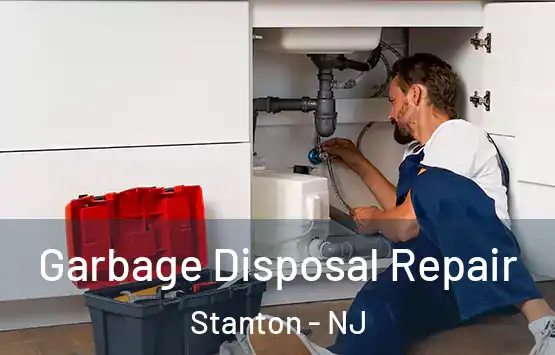  Garbage Disposal Repair Stanton - NJ