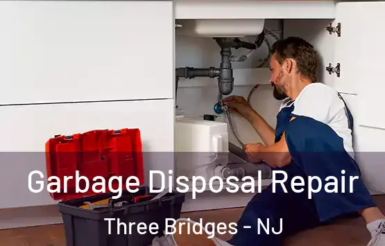  Garbage Disposal Repair Three Bridges - NJ