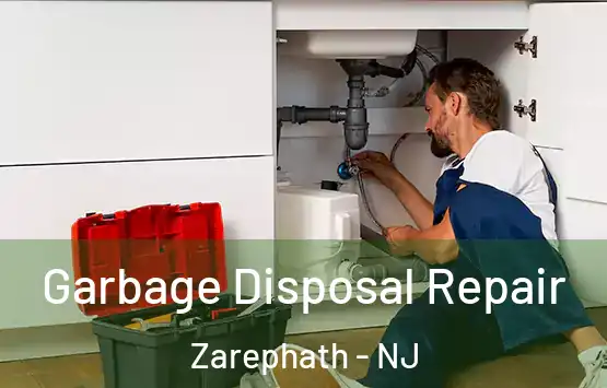  Garbage Disposal Repair Zarephath - NJ