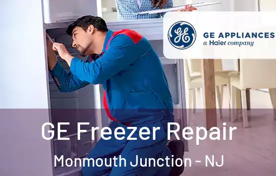  GE Freezer Repair Monmouth Junction - NJ