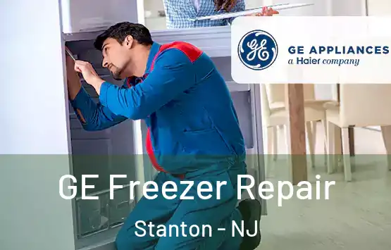  GE Freezer Repair Stanton - NJ